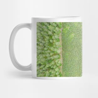 Top down aerial view of green nursery forest bordering with mature forest Mug